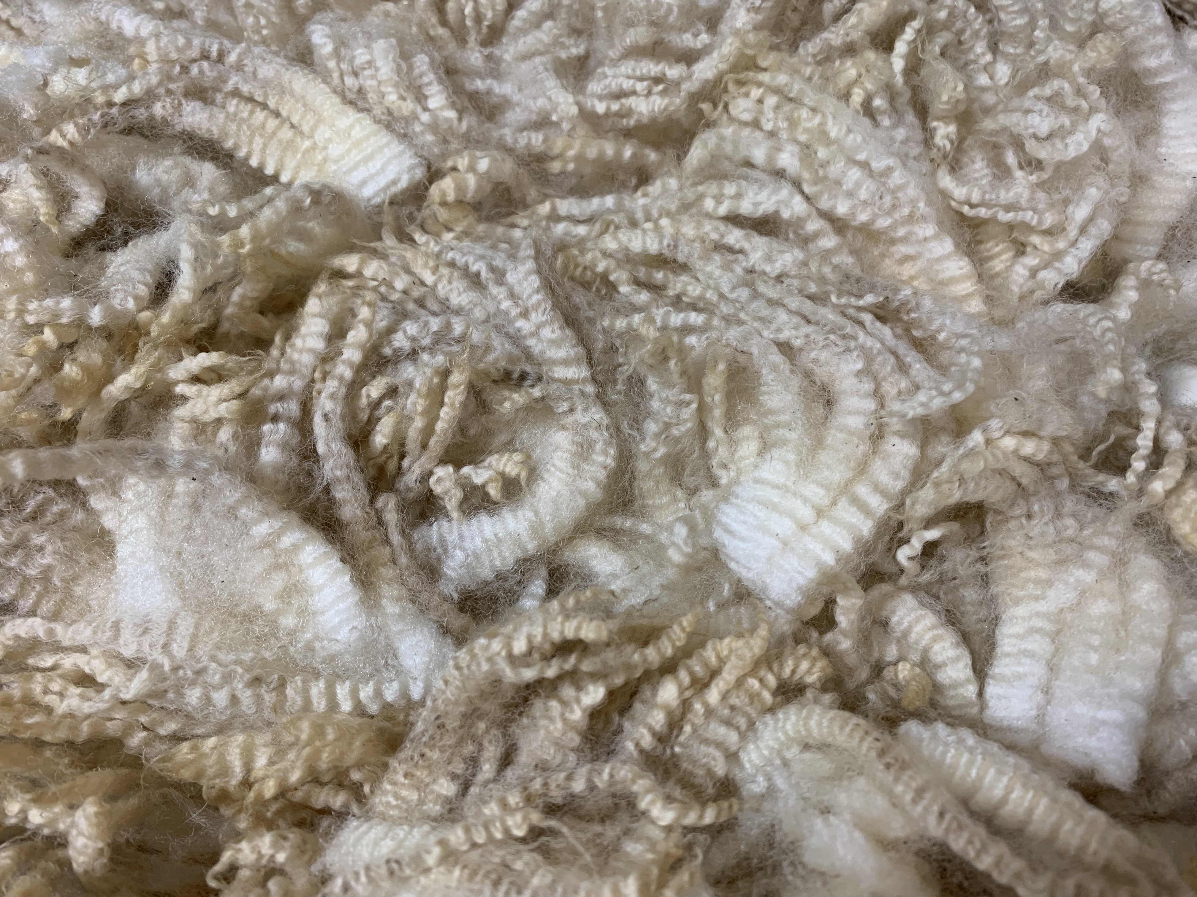 Raw Fleece 3L&S Farms Michigan Romney Wool Fleece For Sale